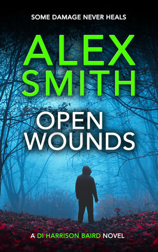 Open Wounds: A British Crime Thriller (DI Harrison Baird Crime Thrillers) by Smith, Alex