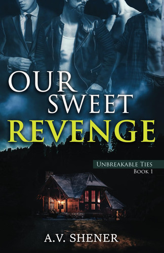 Our Sweet Revenge: A Shocking Gay Thriller (Unbreakable Ties Book 1) by Shener, A.V.