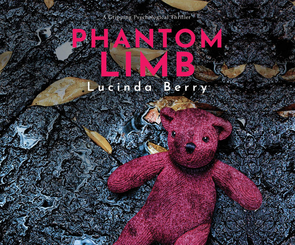 Phantom Limb: A Gripping Psychological Thriller by Berry, Lucinda