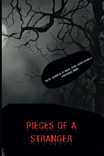 Pieces of a Stranger - A Psychological Thriller by AARON. SELLO