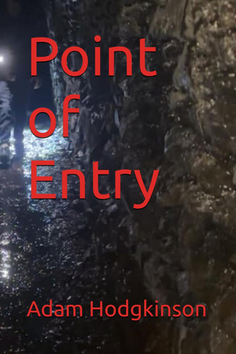 Point of Entry (Lucas Ashton - Point Crime Thriller Series) by Hodgkinson, Adam