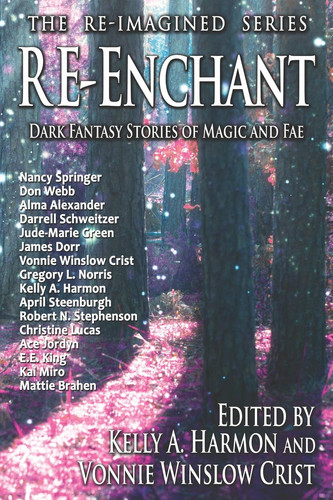 Re-Enchant Dark Fantasy Stories of Magic and Fae by James Dorr