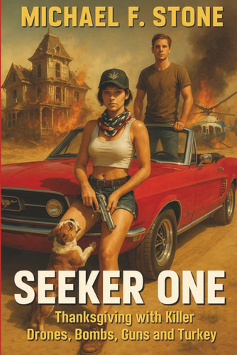 Seeker One: A desert survival action thriller with high-speed car chases, a missing sister mystery, and covert military drone suspense. by Stone, Michael F.