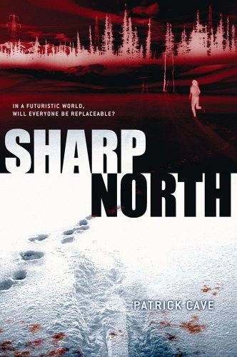 Sharp North by Patrick Cave