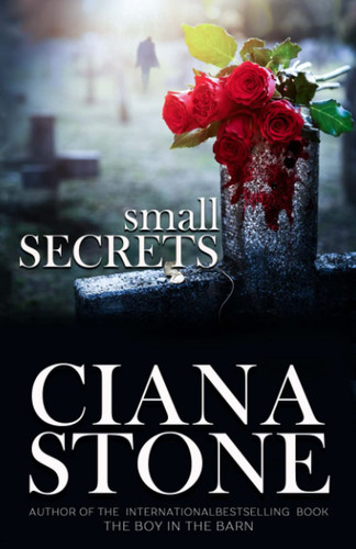 Small Secrets A Psychic Suspense Novel by CIANA. STONE