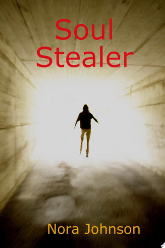 Soul Stealer by Nora Johnson
