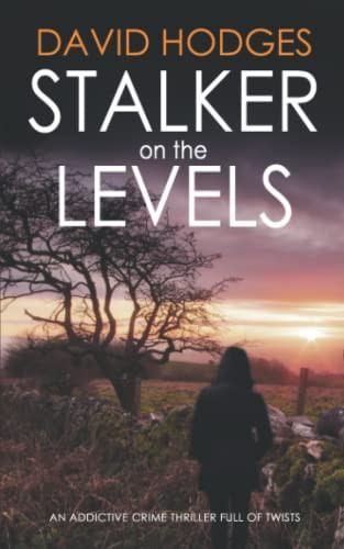 STALKER ON THE LEVELS an Addictive Crime Thriller Full of Twists by David Hodges