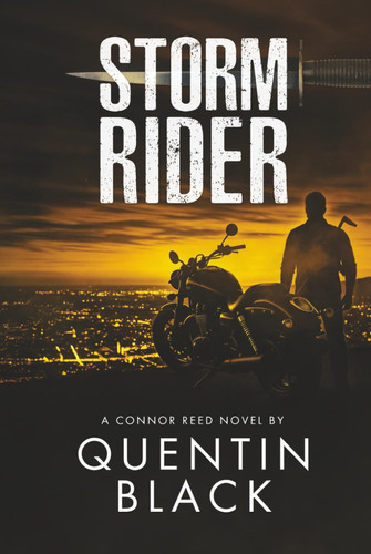Storm Rider by Black, Quentin