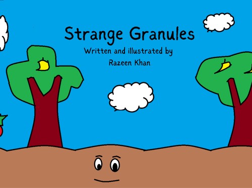 Strange Granules by Razeen Khan
