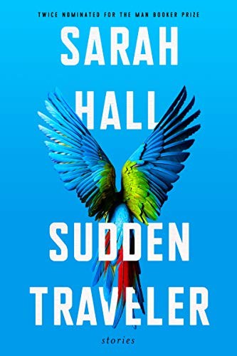 Sudden Traveler by Sarah Hall