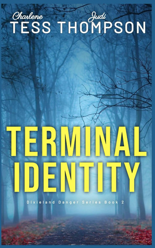Terminal Identity: Sequel to Stolen Laughter (Dixieland Danger series) by Tess, Charlene