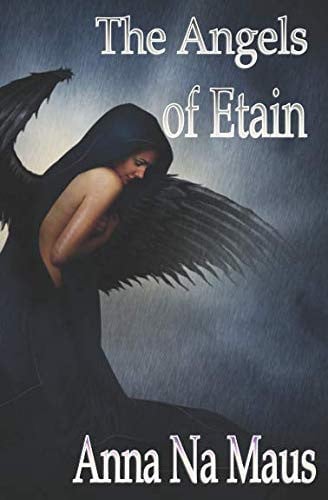 The Angels of Etain A Transgender Crime and Punishment Thriller by Anna Na-Maus
