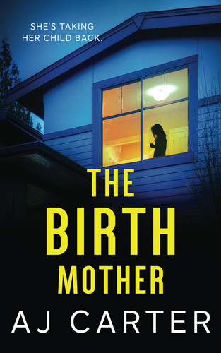The Birth Mother by AJ Carter