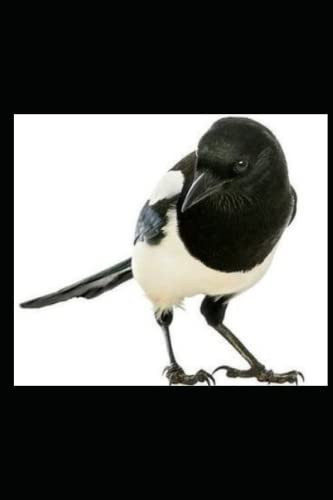 The Black Magpie An African Mafia Thriller by AKOMA. NTOSO