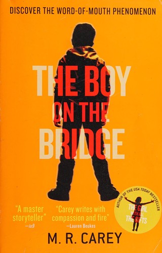 The boy on the bridge by Mike Carey