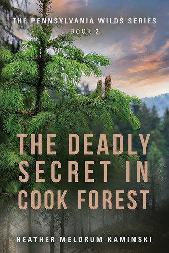 The Deadly Secret in Cook Forest - The Pennsylvania Wilds Series - Book 2 by Heather Meldrum Kaminski