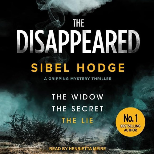 The Disappeared Lib/E by Hodge, Sibel