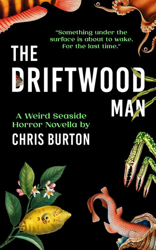 The Driftwood Man - A Weird Seaside Horror Novella by CHRIS. BURTON