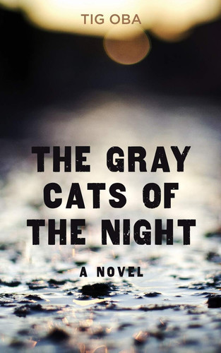The Gray Cats of the Night by Tig Oba