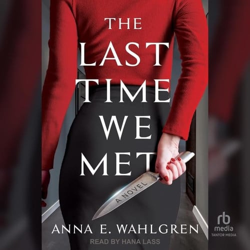 The Last Time We Met: A Novel by Anna E. Wahlgren