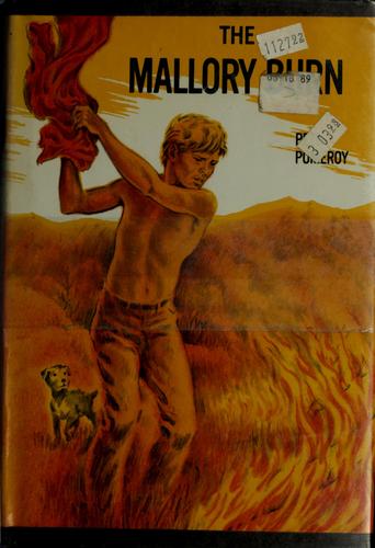 The Mallory burn by Pete Pomeroy