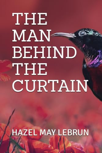 The Man Behind the Curtain by Hazel May Lebrun