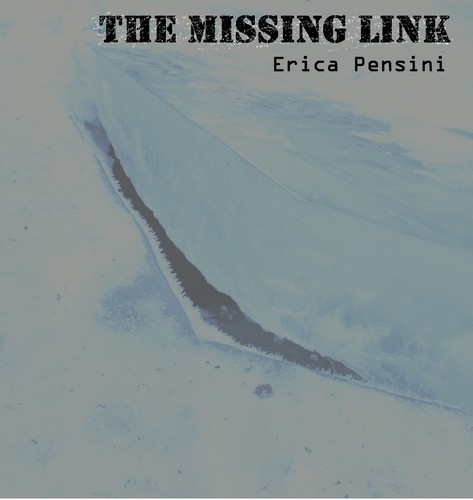 The Missing Link by Erica Pensini