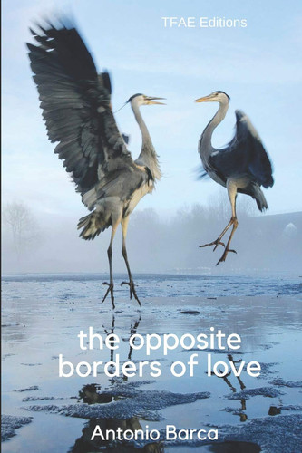 The Opposite Borders of Love An Unexpected Thriller by Antonio Barca