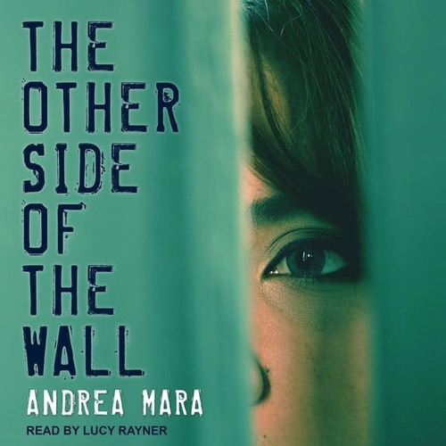 The Other Side of the Wall by Andrea Mara