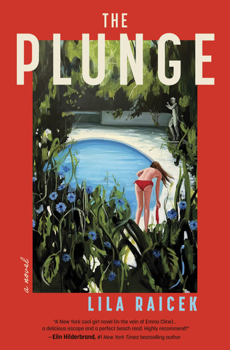 The Plunge: A Novel by Raicek, Lila