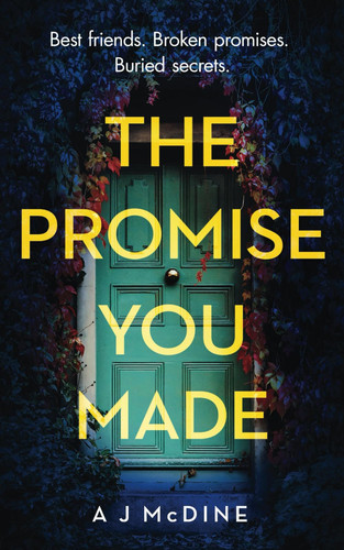 The promise you made by A. J. McDine