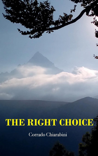 The Right Choice by Corrado Chiarabini