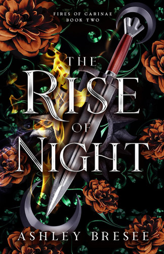 The Rise of Night - A Dark Fantasy Romance by ASHLEY. BRESEE