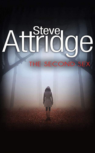 The Second Sex: A Paul Rook Thriller by Attridge, Steve