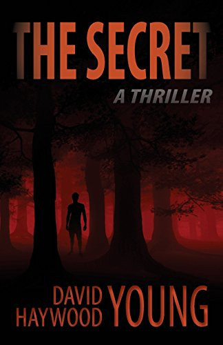 The Secret A Thriller by David Young