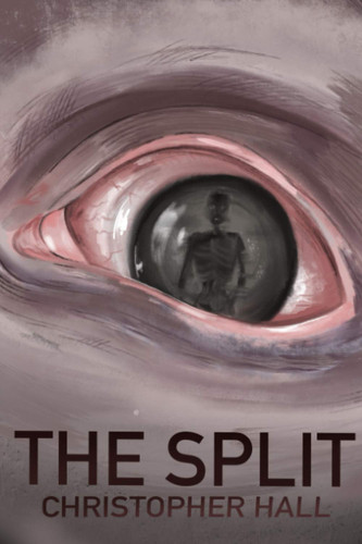 The Split by Hall, Christopher