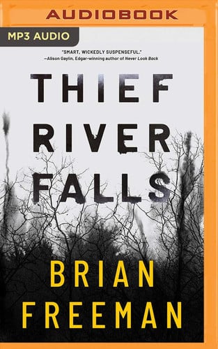 Thief River Falls by Freeman, Brian