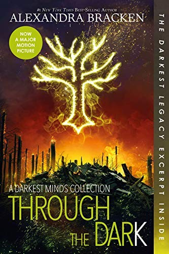 Through the dark by Alexandra Bracken