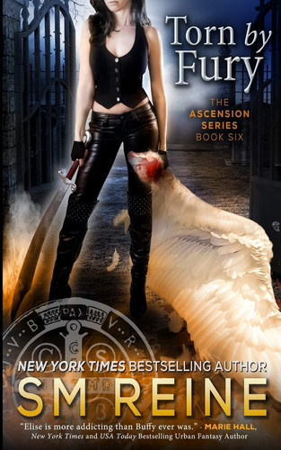 Torn by Fury An Urban Fantasy Novel by Sara Marie Reine