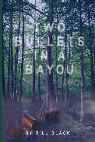 Two Bullets in a Bayou - An Erica Banks Suspense Thriller by Bill Black