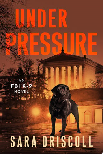 Under Pressure A Spellbinding Crime Thriller by Sara Driscoll