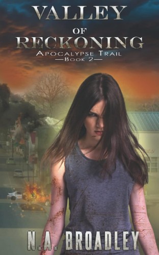 Valley of Reckoning by N.A. Broadley