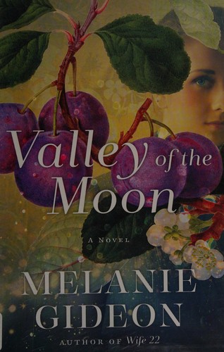 Valley of the moon by Melanie Gideon