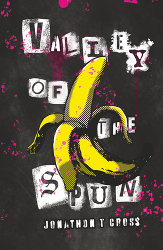 Valley of the Spun by Cross, Jonathon T.