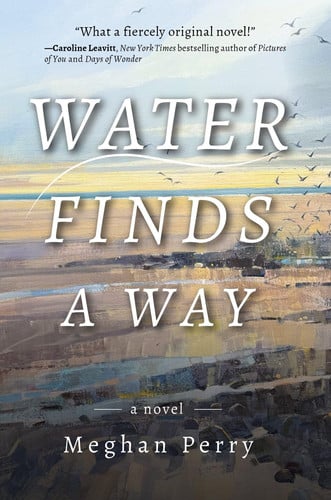 Water Finds a Way A Novel by Meghan Perry