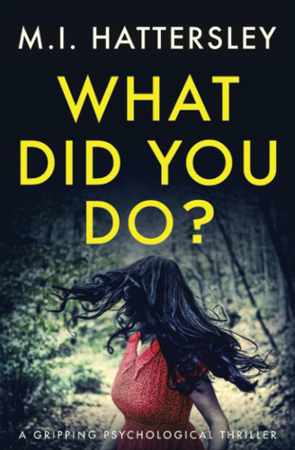 What Did You Do?: A gripping psychological thriller with plenty of twists by Hattersley, M. I.