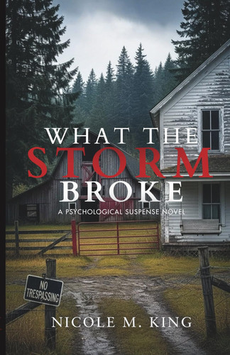 What The Storm Broke by King, Nicole M.