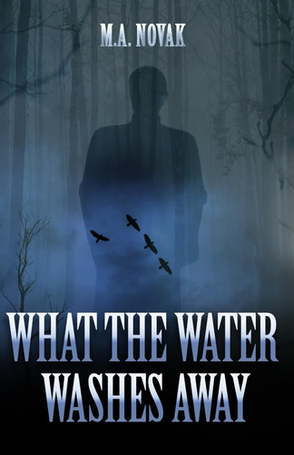 What the Water Washes Away A Lakefront Thriller by Michelle Novak
