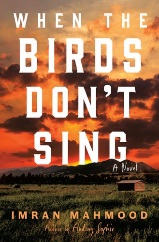 When the Birds Don't Sing: A Novel by Mahmood, Imran