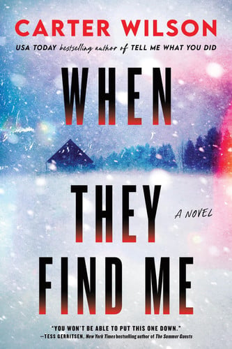When They Find Me: A Novel by Wilson, Carter